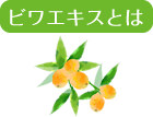 ӥ泌Ȥ